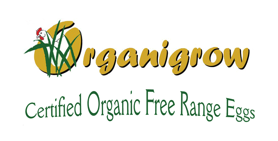 Organigrow Free Range Organic Eggs